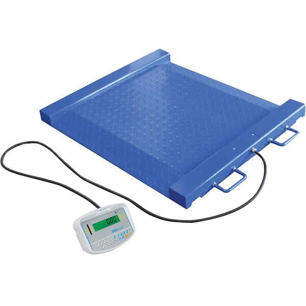 Adam Equipment PTM Indicator, 1100lb/500kg Capacity, 0.2Lb/100g Readability, Universal Voltage