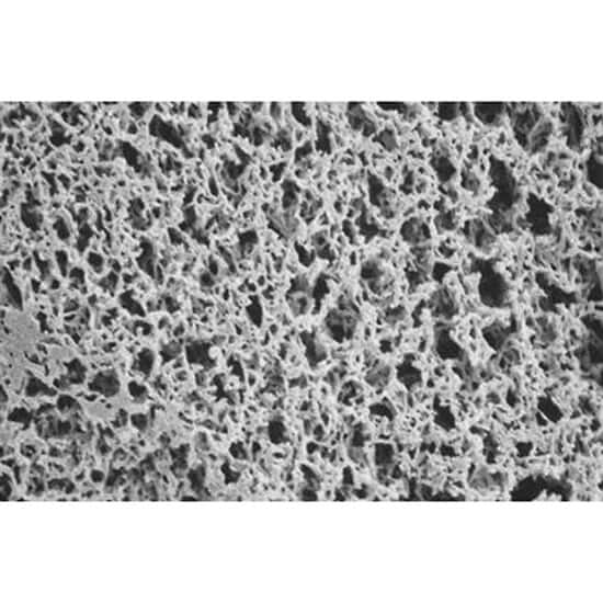 Advantec Nylon Membrane Filters, 5.0 µm, 90 mm; 25/Pk