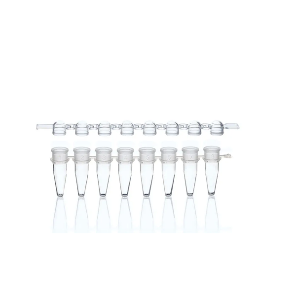 BrandTech BIO-CERT® PCR 8-Strip Tube with Flat Cap, Polypropylene, Clear, 0.2 mL; 250/Pk