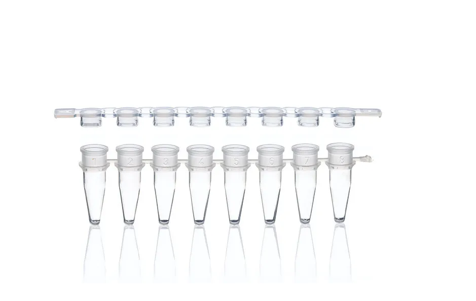 BrandTech BIO-CERT® PCR 8-Strip Tube with Domed Cap, Polypropylene, Clear, 0.2 mL; 250/Pk