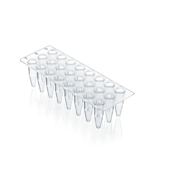 BrandTech BIO-CERT® PCR Plate, 24-Well, Clear, No Skirt, Standard Profile, Elevated Well Rim, 0.2 mL; 40/Pk