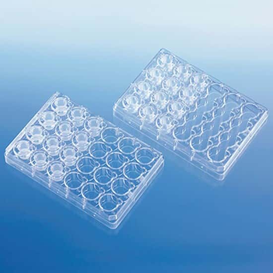 BrandTech BRANDplates® Bio-Cert® Microplates for Inserts, 24-Well, 13 mm; 10/PK