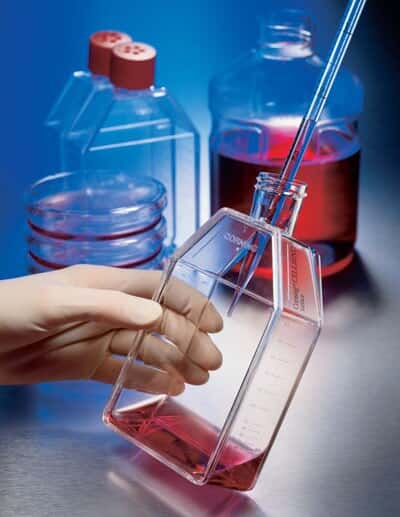 CellBIND 3293 Cell culture flask, surface, 225 cm2, angled neck, vent cap