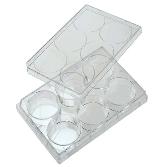 CELLTREAT Scientific Products 229105 6-Well Treated Culture Plate with Lid; 50/cs