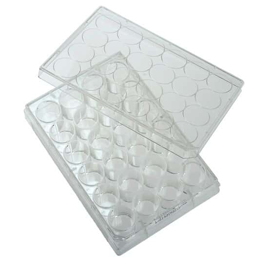 CELLTREAT Scientific Products 229123 24-Well Treated Cell Culture Plate with Lid; 50/cs
