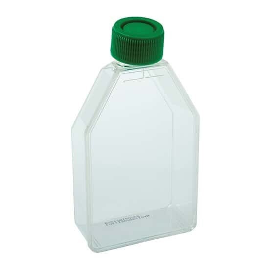 CELLTREAT Scientific Products 229331 Sterile Treated Culture Flasks with Vented Cap, 25 cm²; 200/cs