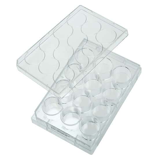 CELLTREAT Scientific Products 229512 12-Well Cell Culture Plate with Lid; 100/cs