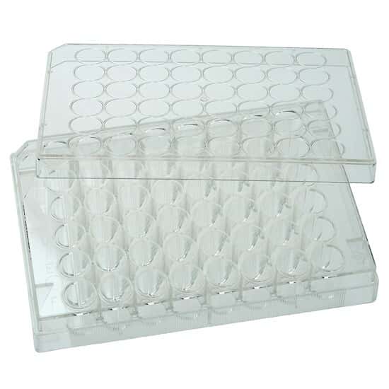 CELLTREAT Scientific Products 229548 48-Well Cell Culture Plate with Lid; 100/cs