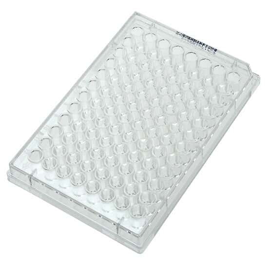 CELLTREAT Scientific Products 229592 96-Well Cell Culture Plate; 100/cs