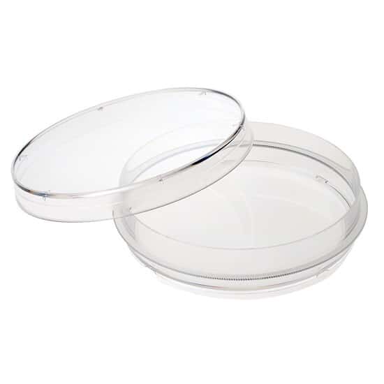 CELLTREAT Scientific Products 229620 Treated Sterile Petri Dishes with Grip Ring, 100 x 20 mm; 300/cs