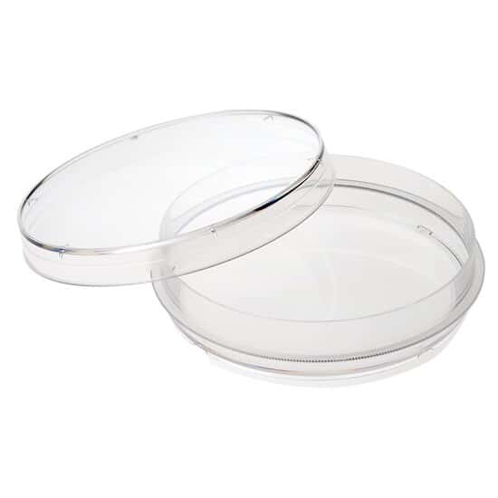 CELLTREAT Scientific Products 229650 Treated Sterile Petri Dishes, 150 x 20 mm; 60/cs