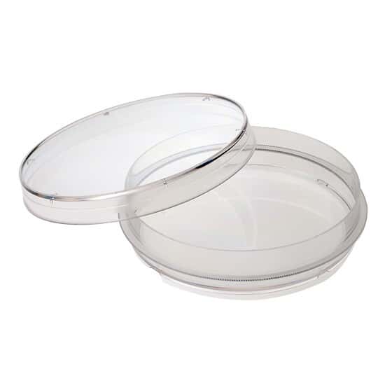 CELLTREAT Scientific Products 229653 Heavy-Duty Sterile Petri Dishes, 150 x 20 mm; 100/cs