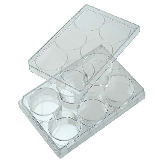 Cole-Parmer Cell and Tissue Culture Plates with Lid, Sterile, Polystyrene, Untreated, 6-Well; 100/CS