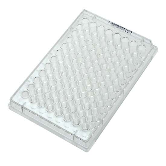 Cole-Parmer Cell and Tissue Culture Plates, Sterile, Polystyrene, Untreated, No Lid, 96-Well; 100/CS