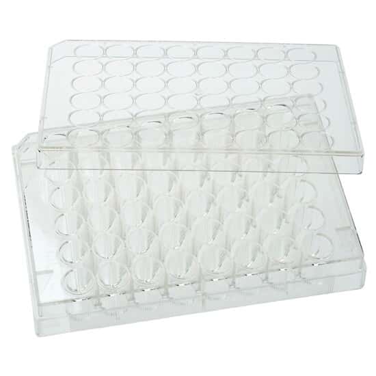 Cole-Parmer Cell and Tissue Culture Plates with Lid, Sterile, Polystyrene, Treated, 48-Well; 100/CS