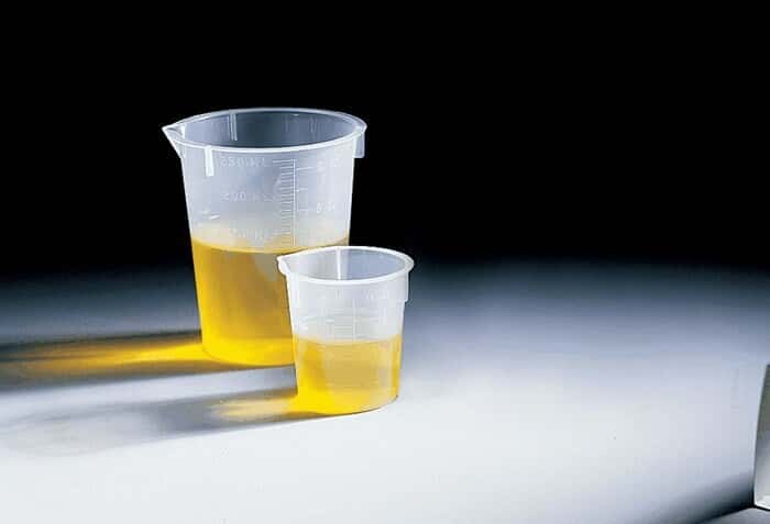 Disposable polypropylene Griffin low-form beakers, 100 mL 100/cs