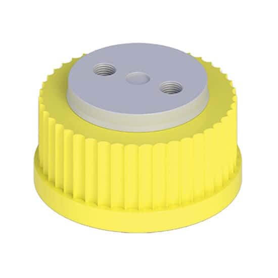 Cole-Parmer VapLock™ Solvent Delivery Cap with FFKM Air Inlet Valve, Two 1/4-28 ports, GL45; 1/EA