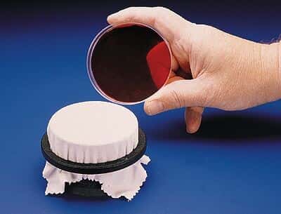 Replica-Plating Tool for 90 to 100-mm Petri Dishes