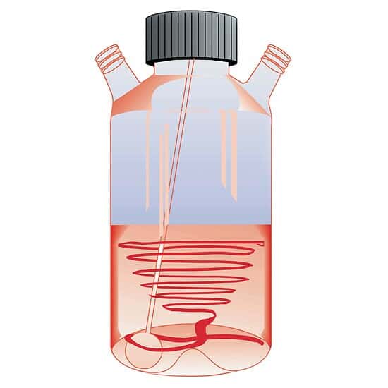 Cole-Parmer Spinner Flask Assembly for BS-200 Cell Culture Stirring Systems, 250 mL (8.5 oz)