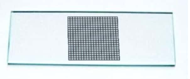 Cole-Parmer Prepared Slide, Graph, Black Gridlines, Slide A