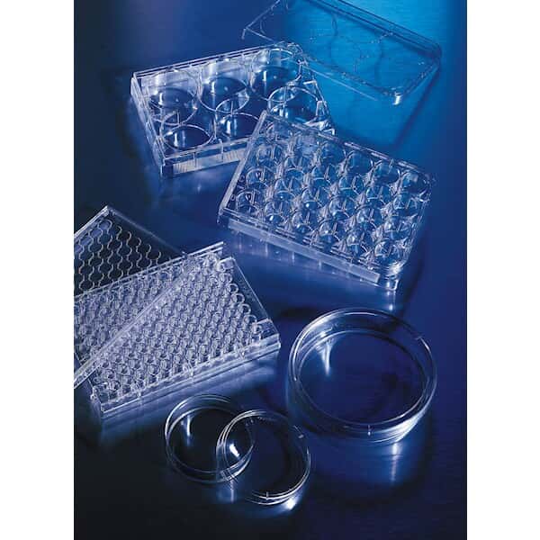 Corning Cell Culture Dish, Sterile, Polystyrene, Round, Ultra-Low Attachment Treated, 21 cm2; 20/Cs