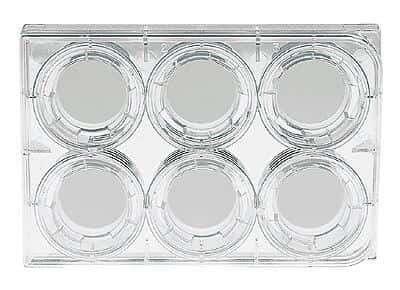 Corning Transwell® Permeable Supports, Sterile, Polycarbonate Membrane, 0.4 µm, 6-Cluster Plate; 24/Cs