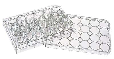 Corning Transwell® Permeable Supports, Sterile, Polycarbonate Membrane, 0.4 µm, 24-Cluster Plate; 48/Cs