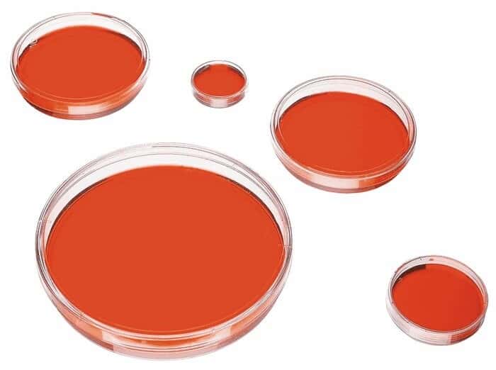 Corning Cell Culture Dish, Sterile, Polystyrene, Round, TC-Treated, 9 cm2; 500/Cs