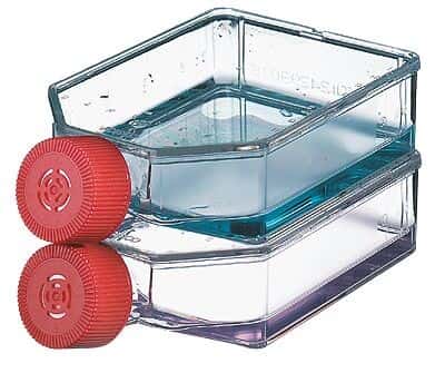 Corning Cell Culture Flask, Polystyrene, Sterile, Tissue Culture Treated, Phenolic Cap, 25 cm2; 500/Cs