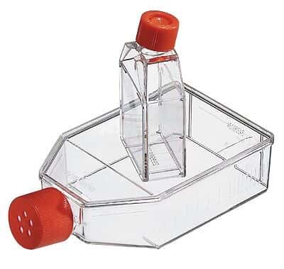 Corning Cell Culture Flask, Polystyrene, Sterile, Tissue Culture Treated, Vent Cap, 175 cm2; 50/Cs