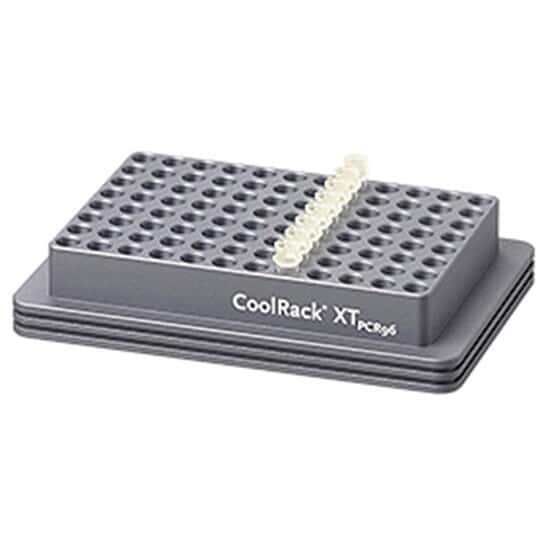 Corning CoolRack® XT PCR96 Cooling Block, 1 x 96well PCR Plate, or 12