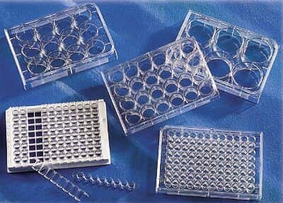 Costar Cell Culture Multiwell Plate with Lid, Sterile, TC-Treated, 48-Well, 0.95 cm2; 100/Cs