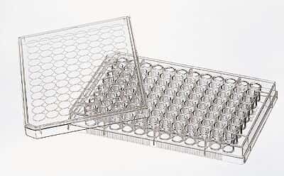 Costar Cell Culture Multiwell Plate with Lid, Sterile, TC-Treated, 96-Well, Flat Bottom; 10/Pk, 50/Cs