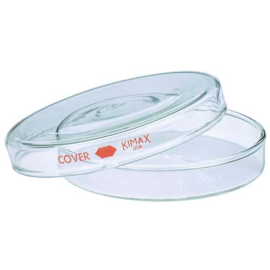 DWK Life Sciences (Kimble) Petri Dish Bottom, 150 x 20 mm, 12/Cs