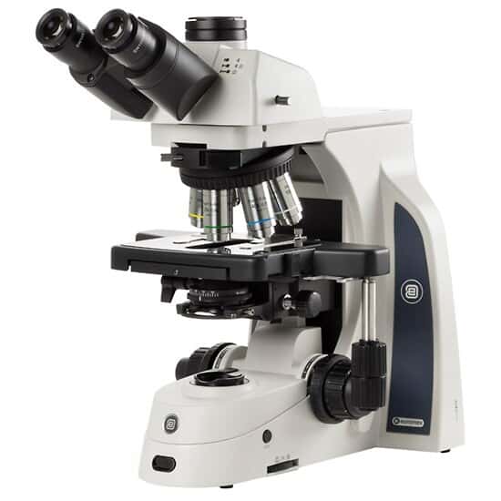 Euromex Delphi-X Observer™ Research Trinocular Compound Microscope, 4/10/40/100x, Brightfield Apo, 100-250 VAC
