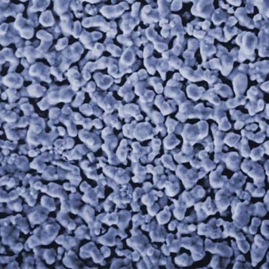 Environmental Express Filter, Silver, 0.8 µm, 25 mm; 50/Pk