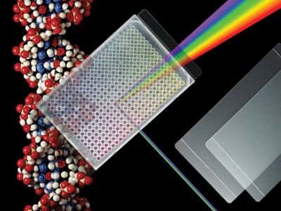Excel Scientific RT™ Sealing Film for Flat Top Real-Time PCR, Polyester, Non-Sterile, 50µm; 100/PK