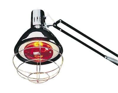 Lighting Specialties Replacement Bulb for Infrared Heat Lamp, 250 watts
