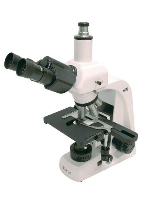 Meiji Techno MX5200L Laboratory Compound Microscope; binocular; magnification, 4x/10x/40x/1000x; brightfield, LED I