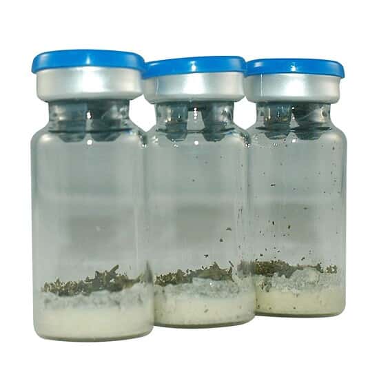 NSI Lab Solutions CMPT-040 Quantitative Yeast/Mold in Hemp Proficiency Test