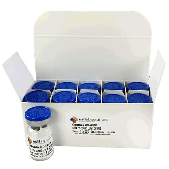 NSI Lab Solutions 51-00054 <i>C. albicans</i> NCPF 3179 Pharmaceutical Culture, USP <51>; 10/PK