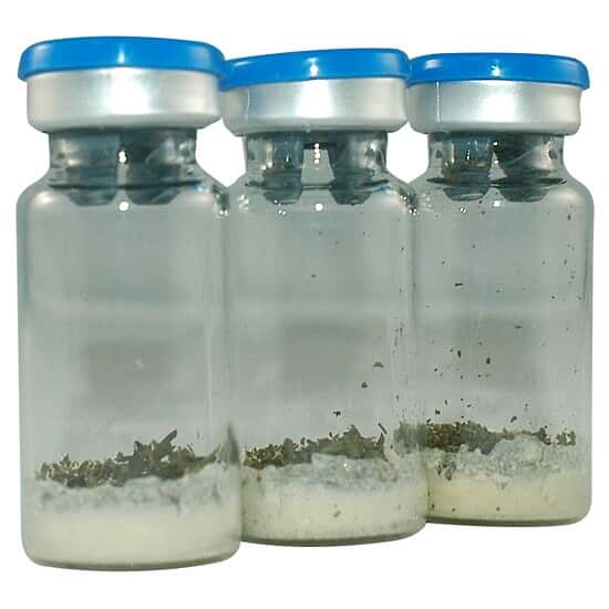 NSI Lab Solutions CMPT082 Quantitative THC Potency in Hemp Proficiency