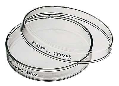 Pyrex, Petri Culture Dish, 100 X 20 - View #3