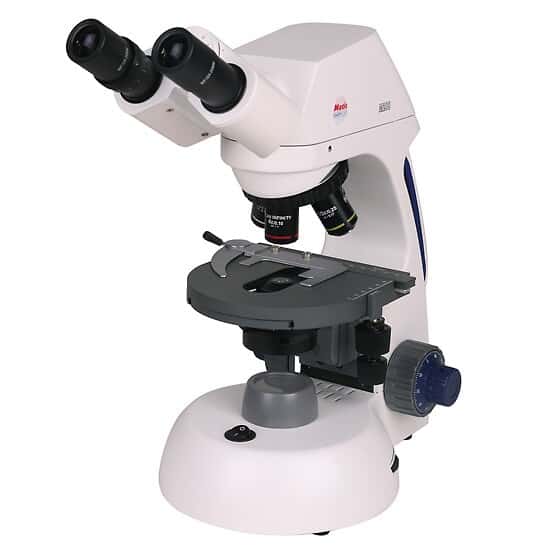 Swift Optical M17B-P Infinity-Corrected Compound Microscope, Binocular, Plan 4x/10x/40xR/100xR