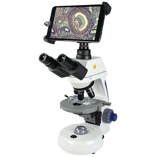 Swift Optical Compound Microscope with TabletStyle Display and Camera