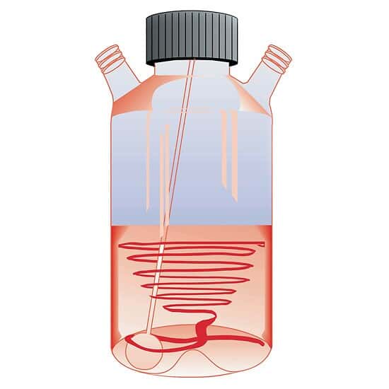 Techne 6027988 Glass Cell Culture Flask, 125 mL; 1/ea from ColeParmer