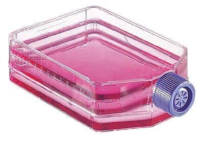 Thermo Scientific Nunc 132913 Cell Culture Flasks, Sterile, Treated, Filter Cap, 200 mL; 32/Cs