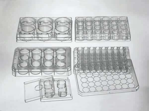 Thermo Scientific Nunc 142485 Cell Culture Multidishes, Treated, Polystyrene, Sterile, 24-Well, 1 mL; 85/Cs