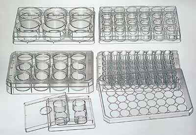 Thermo Scientific Nunc 150687 Cell Culture Multidishes, Treated