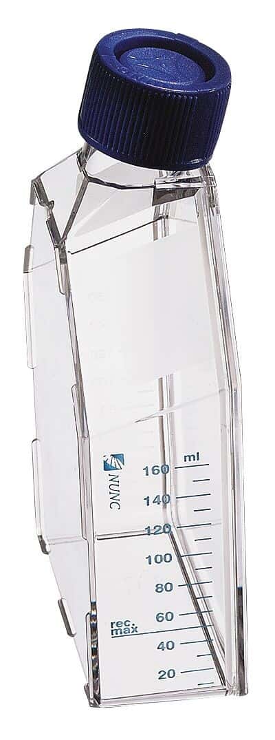 Thermo Scientific Nunc 156340 Cell Culture Flask, Polystyrene, Sterile, Treated, Angled Neck, Vent Cap, 25 cm2; 200/Cs
